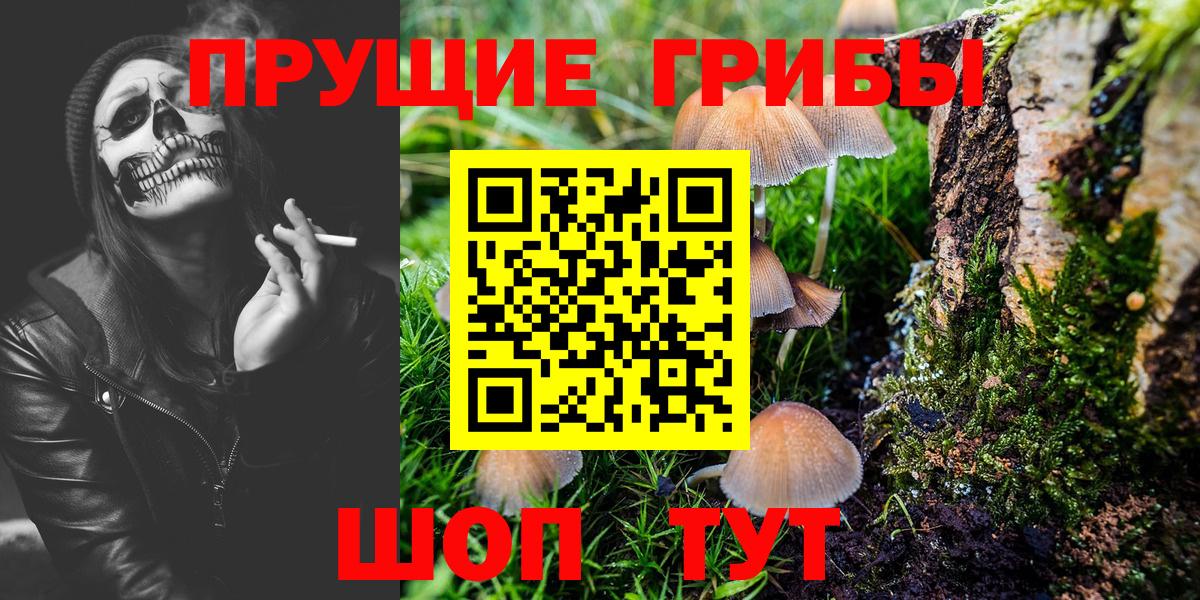 Псилоцибиновые грибы мухоморы  Вход с VPN  Ялуторовск 